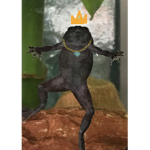 The Froggy Cultist Group