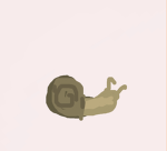 Snail's
