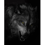 Official DarkWolfGamer Group