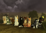 Rogues Tavern (OOC) & Wandering Fright (RP)
