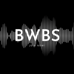 Black wing bird Studios