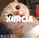 xurcia