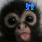 abdulll.x08