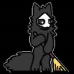Pawbex Labs