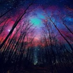 Galaxy World Fun