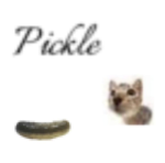 pickl cat