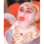 Suuuuuussssssssssssssssssssssssssssssssssssss boys