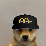 Doggo Night Gang