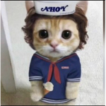 El gato stranger things