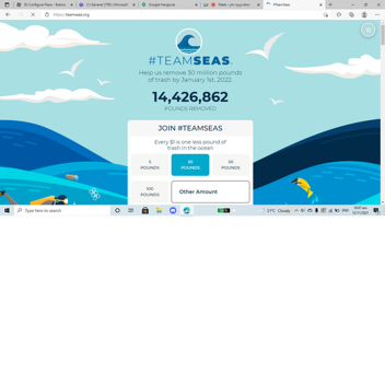 Team seas donation 