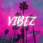 Vibez.8k5 fan group