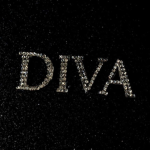 Fashion Diva ꨄ