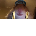 The hamster gang #2