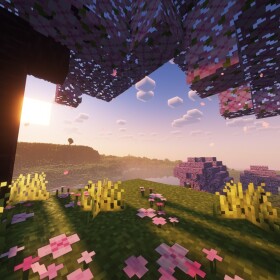 Minecraft: beta 1.0