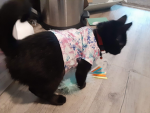 peanut’s boutique