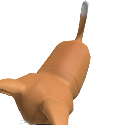 Ginger cat