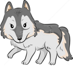 Wolfie's and foxy