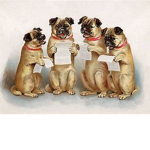 Bulldog Squad!