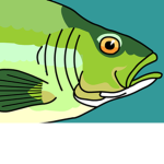 TheAwkwardFish Fan Group