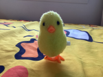 A chick’s army