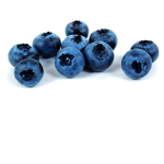 The Blueberry Boxes