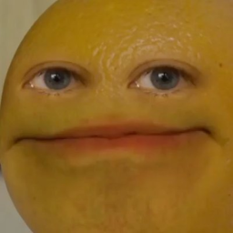 survival the annoying orange the killer