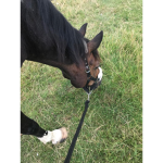 INDYYYY