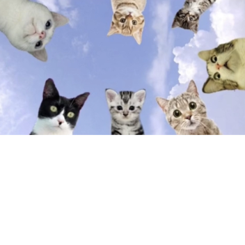 TastyDollRevenge's Place