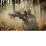 G.I.T.M
