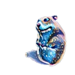 Moonlight Chomik