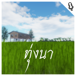 ทุ่งนา | Rice field