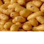 قروب الاكل