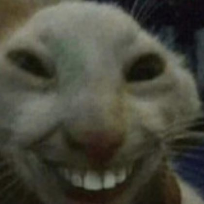 Smiling cat Roblox decal