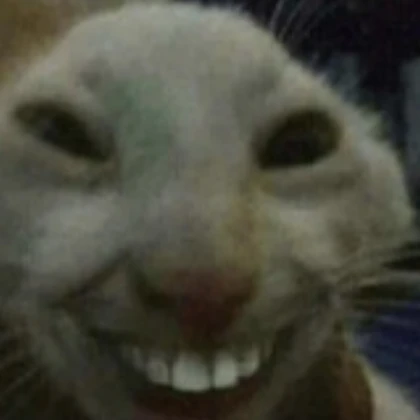 Smiling cat