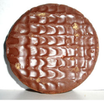 Team Biscuit