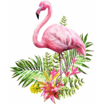 Flamingo Dynasty