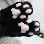 kitty clinic