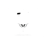 Ç Ḥ Ẅ Ṭ M