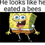 THE SPONGEBOB * I FORGOR *