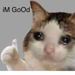 Iamadoglikeacatds funni group