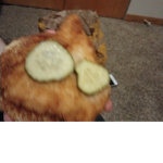 The chicken has pickle eyes
