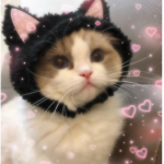 Stylin it'
