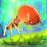TERMETUS Group Thumbnail