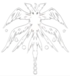 ︾Oracle︾