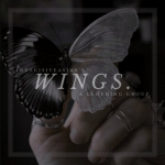 WINGS. <3