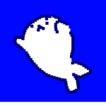 Seal Festival