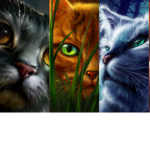 Warrior cats are awesome