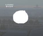 Flyporing - 플라이포링