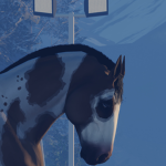 -Ocean Springs Lessons-