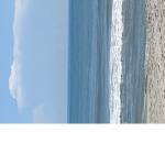 Beach day_1